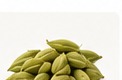 Cardamom